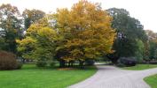 Осенний Верманский парк