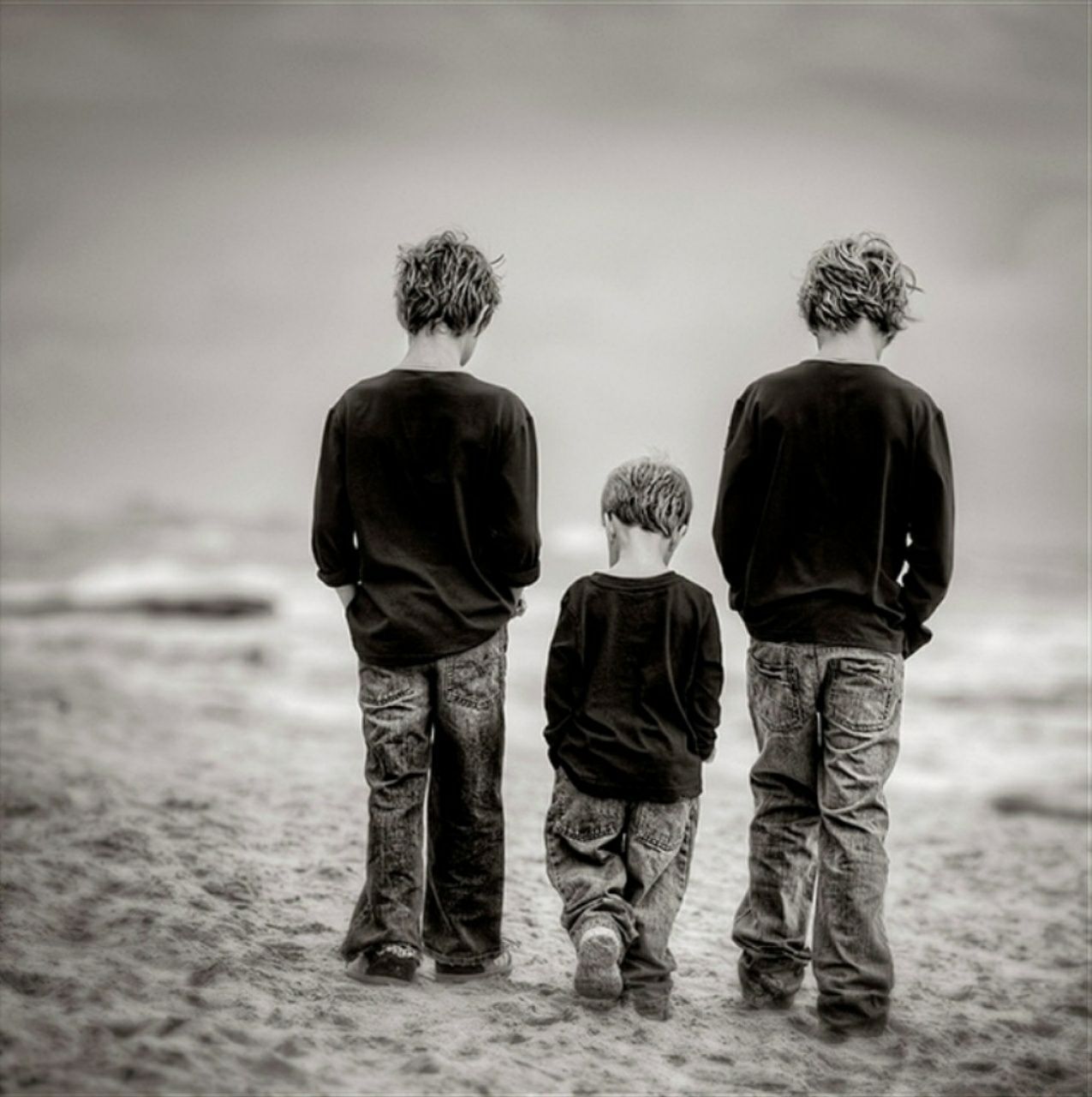 Три сына три брата