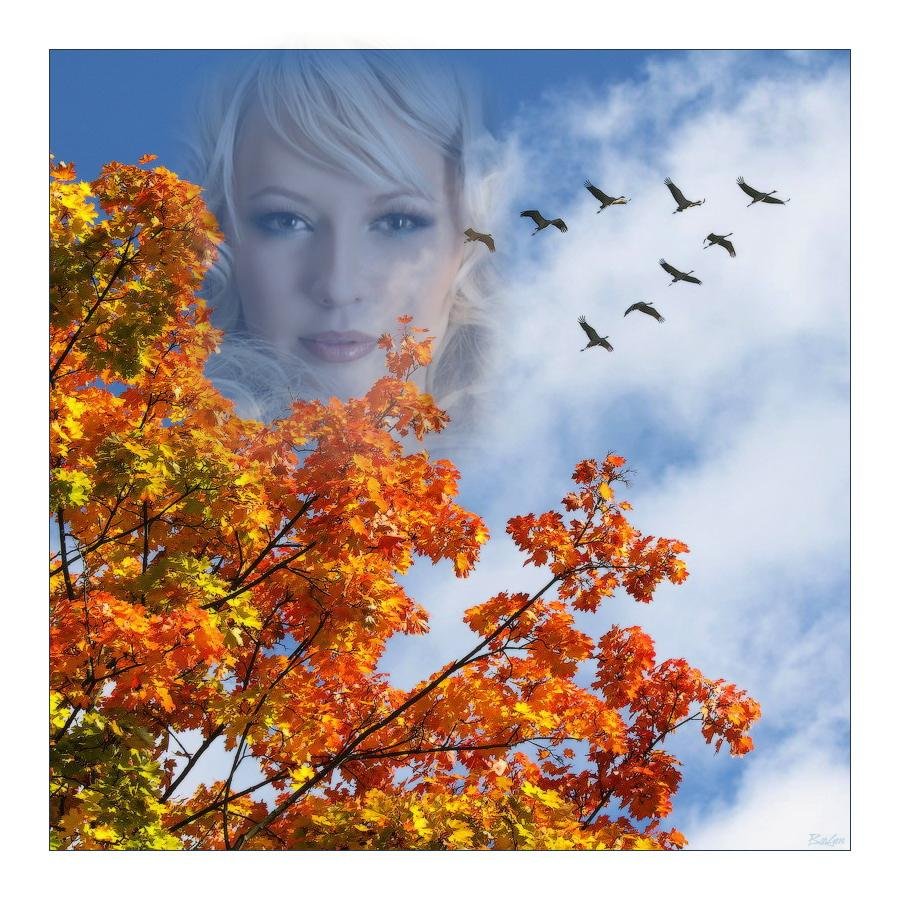 Не ищи зимой лето песня. Осень Журавли. Осень птицы улетают. Девушка улетает в осень. Осень женщина и улетающие птицы.