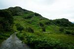 Зелёные Ирландии холмы