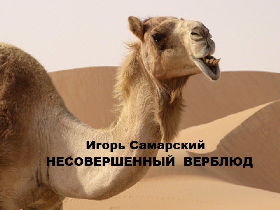 Несовершенный верблюд