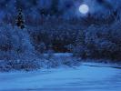 Фотоальбом «Зимняя ночь.»