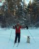 На лыжах с собакой в лесу