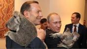 Путин и коала 2