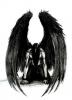 Black Wings