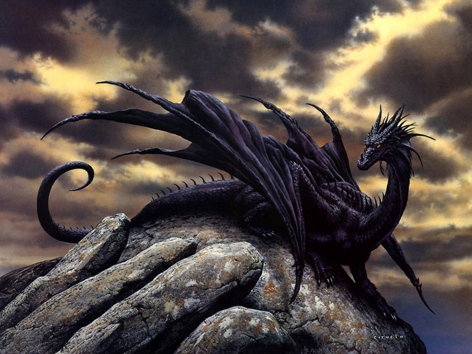 Черный мудрый. Кируэло Кабрал дракон. Ciruelo Cabral драконы. Гебридский чёрный дракон. Дракон Блэк драгон.