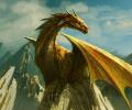 Армилиос — золотистый дракон