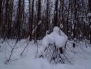 Фотоальбом «Зимний лес»