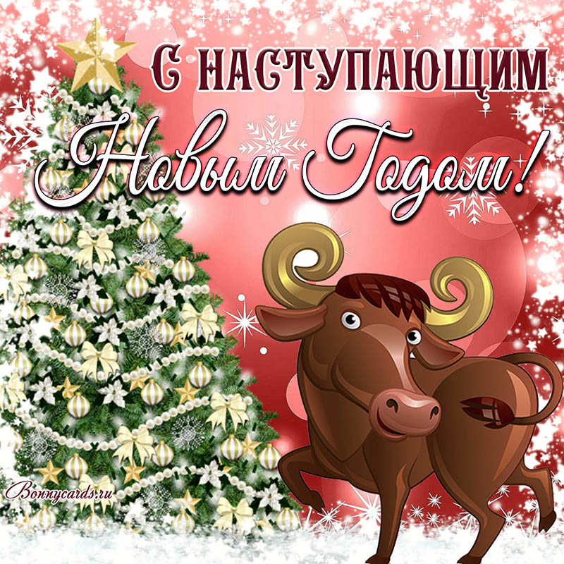 С Новым годом!