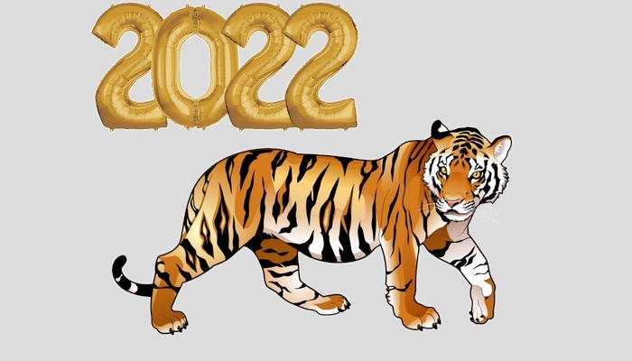 С Новым 2022 годом !