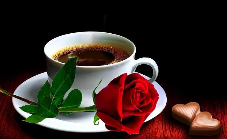 Кофе и роза...