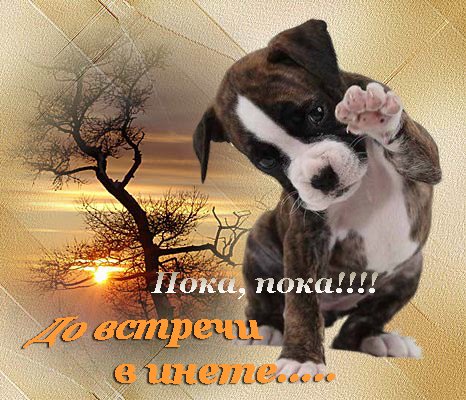 Пока, пока!:-) До встречи в инете!:-) )