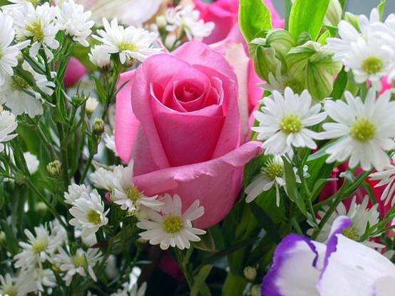 Цветы - для Вас!:-)