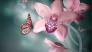 Бабочки и цветы
Подарок от автора Татьяна Лаин