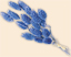 Синие цветы
Подарок от автора Елизавета Носкова