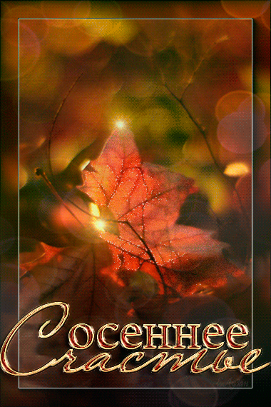 Доброго октября гифки. Осенние пожелания. Прекрасной осени пожелания. Теплой вам осени. Осеннего счастья пожелания.