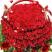 Миллион алых роз в день весны
Подарок от автора Аглая Конрада