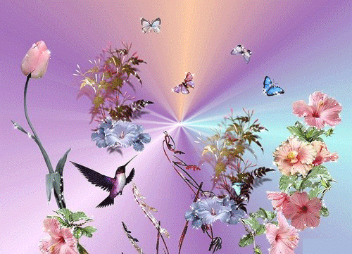 Бабочки на счастье