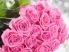 Розовые розы
Подарок от автора glori